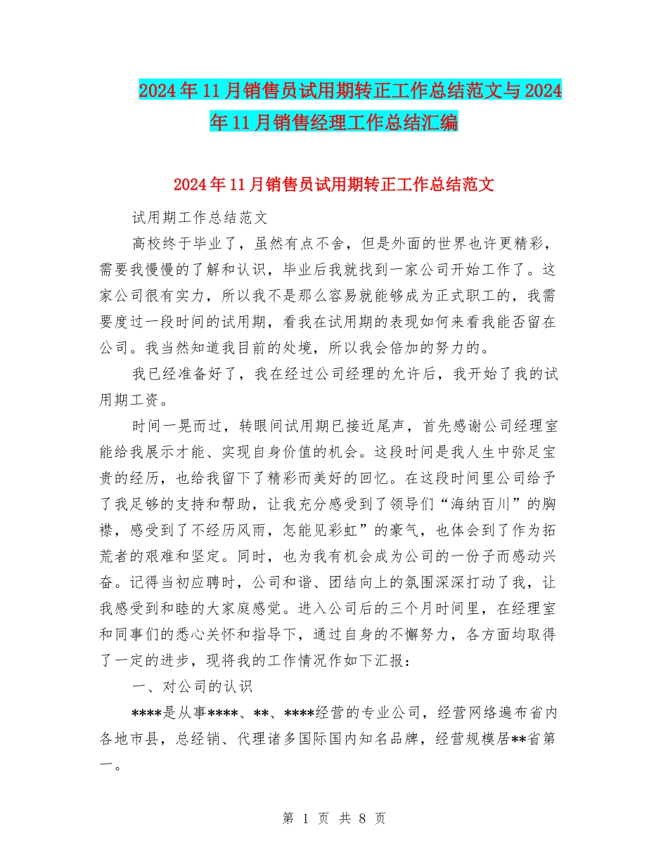 2024年11月销售员试用期转正工作总结范文与2024年11月销售经理工作总结汇编_第1页