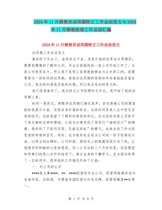 2024年11月销售员试用期转正工作总结范文与2024年11月销售经理工作总结汇编