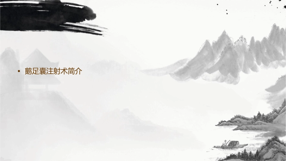 鹅足囊注射术朱光阳课件_第2页