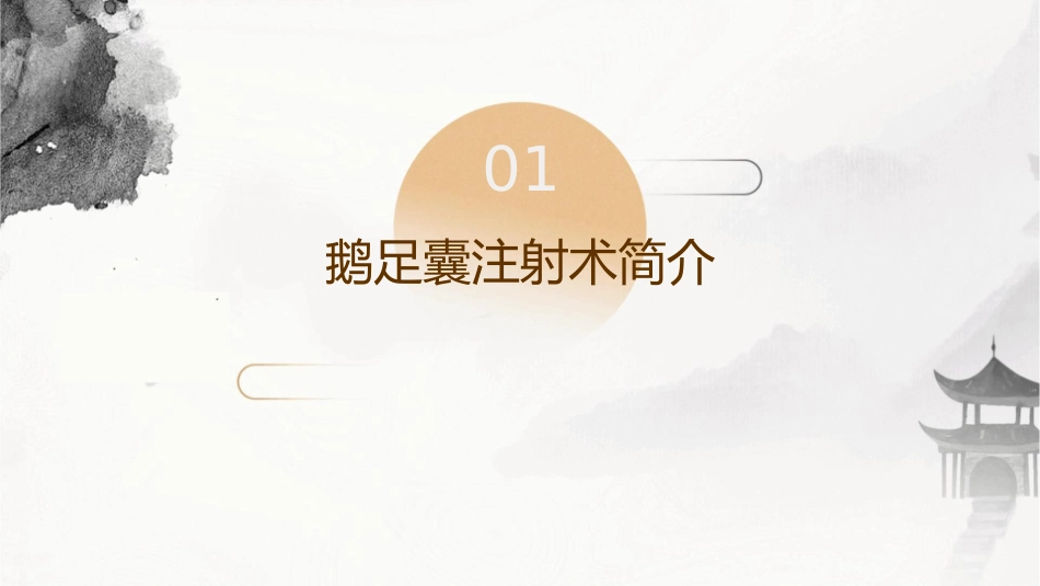 鹅足囊注射术朱光阳课件_第3页