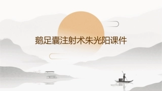 鹅足囊注射术朱光阳课件