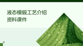 液态模锻工艺介绍资料课件