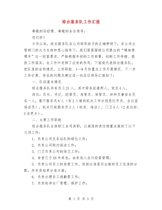 综合服务队工作汇报