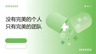 没有完美的个人只有完美的团队课件