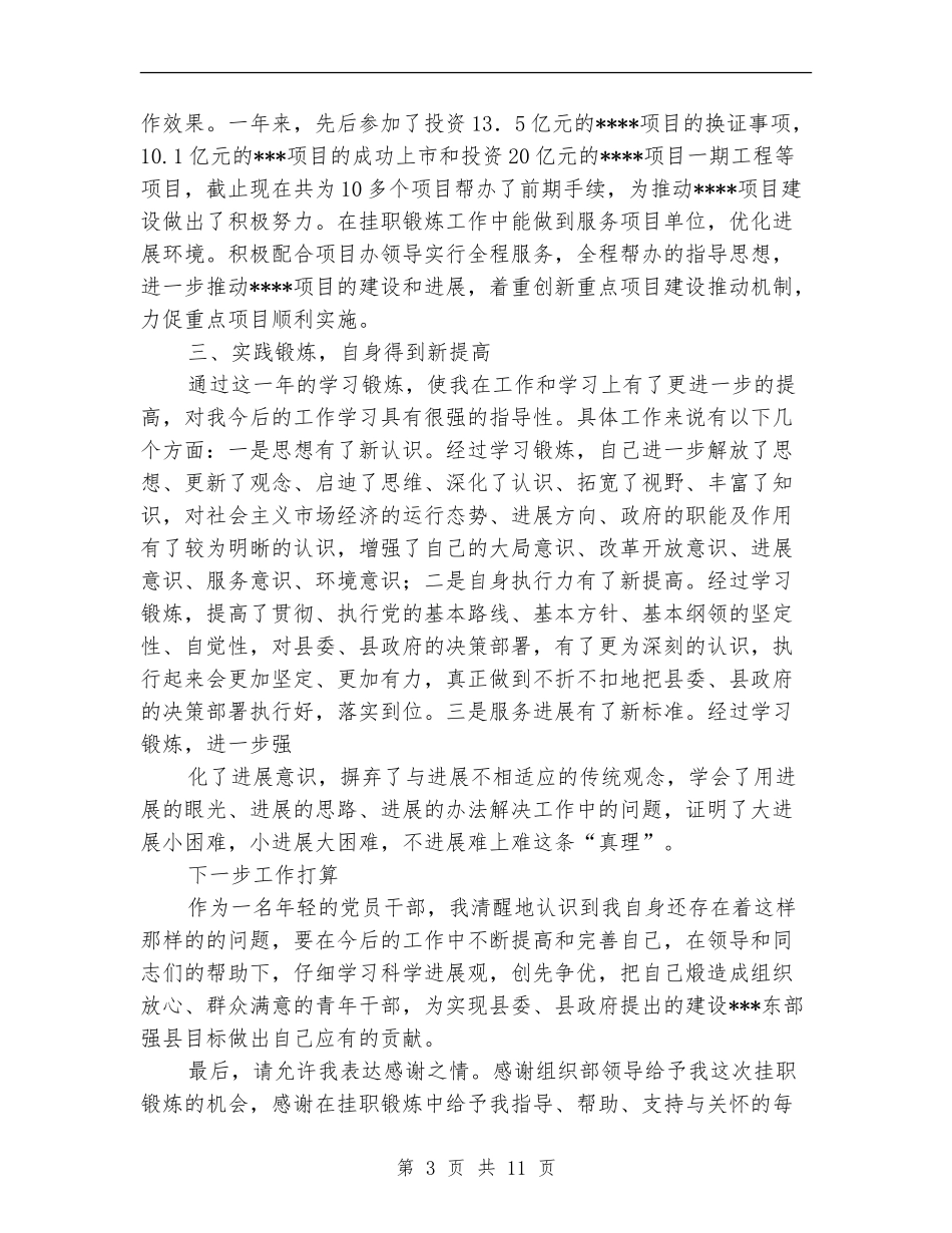 挂职锻炼年终工作总结报告_第3页