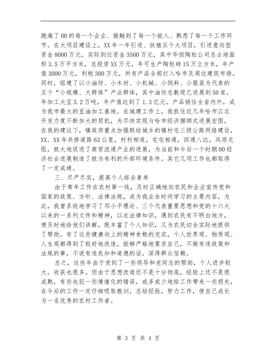 镇长助理个人工作总结【最新版】_第3页