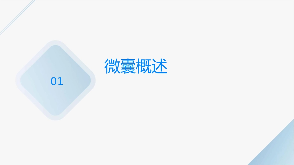 微囊的制备课件课件_第3页