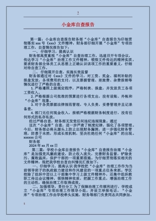 小金库自查报告