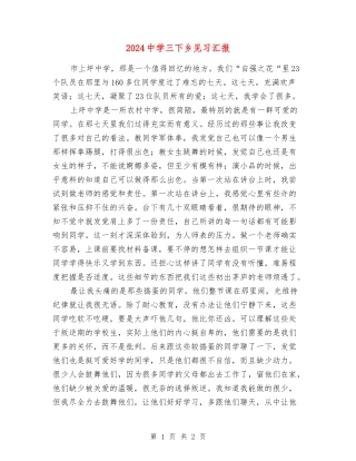 2024中学三下乡见习汇报