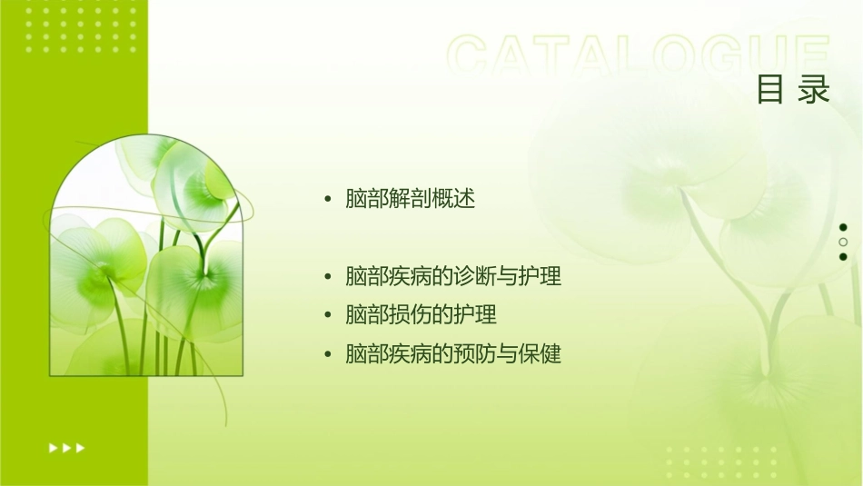 脑部的解剖护理课件_第2页