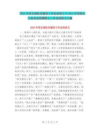 2024年党支部队伍建设工作总结范文与2024年党政办公务员试用期转正工作总结范文汇编