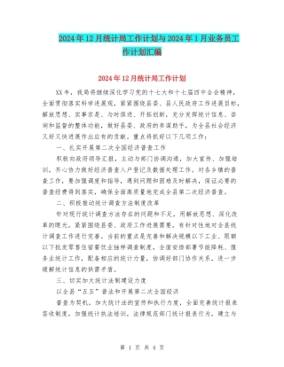 2024年12月统计局工作计划与2024年1月业务员工作计划汇编