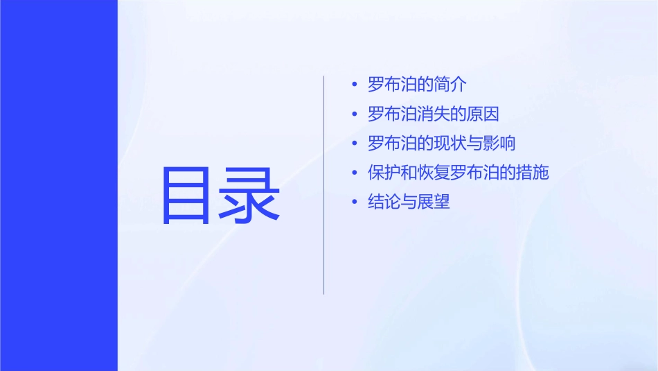 罗布泊消失的仙湖概要课件_第2页