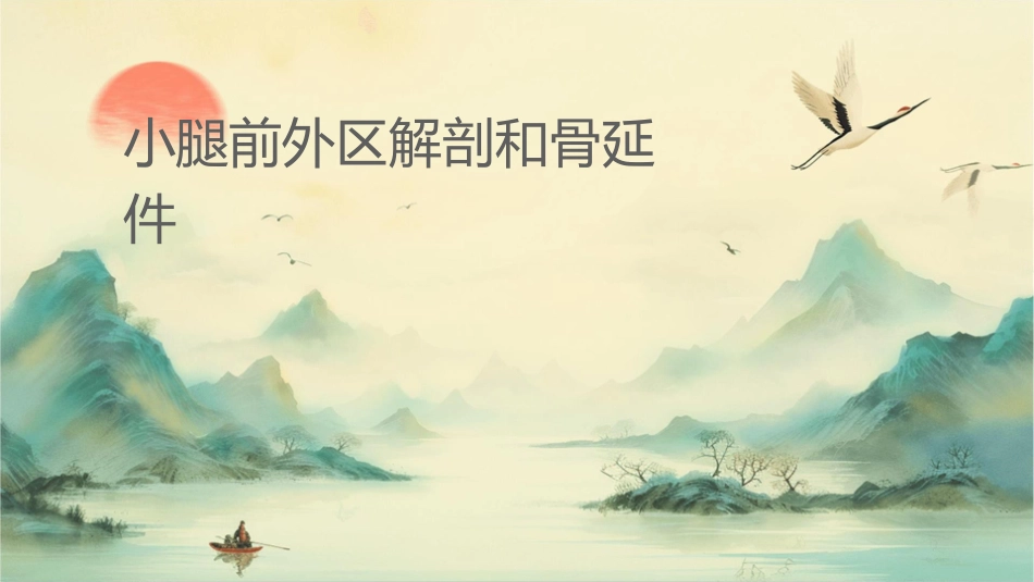 小腿前外侧区解剖和骨延长术课程护理课件_第1页