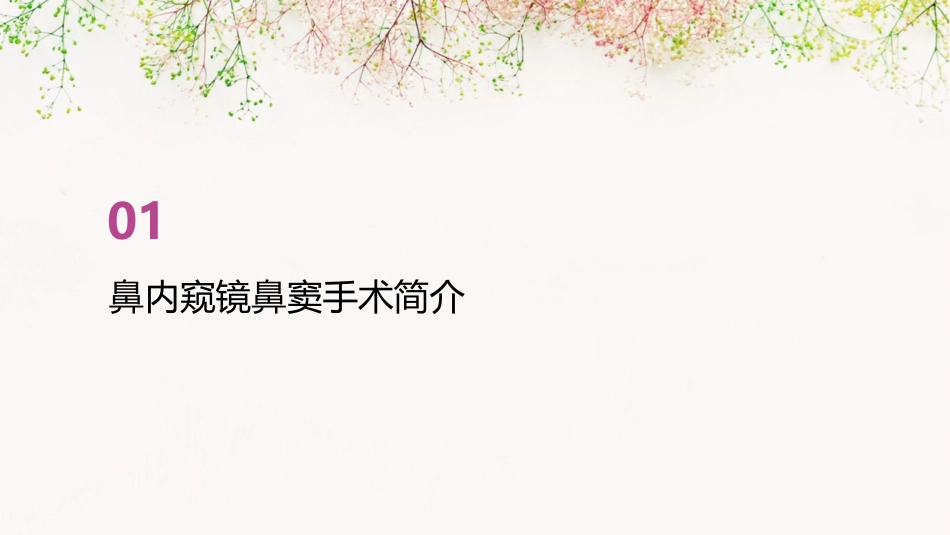 鼻内窥镜鼻窦手术通用课件_第3页