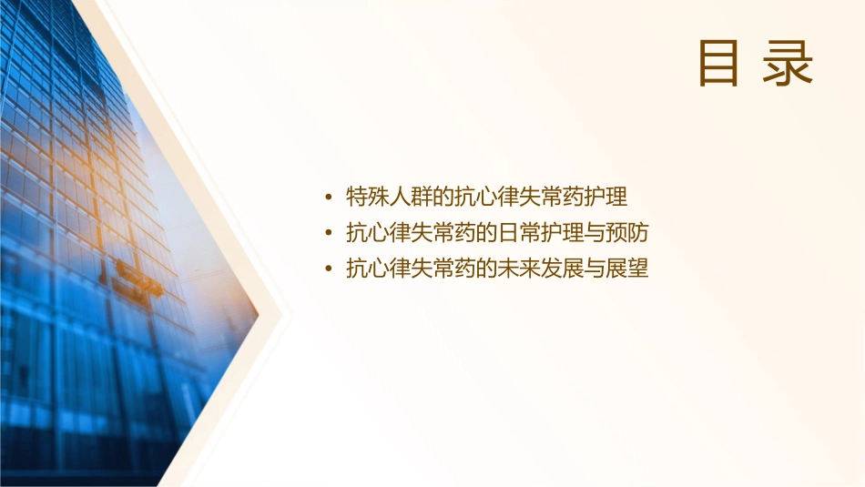 抗心律失常药护理课件_第2页