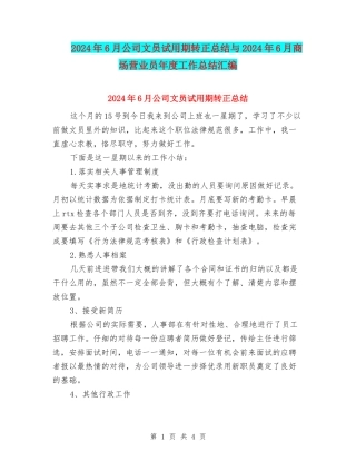 2024年6月公司文员试用期转正总结与2024年6月商场营业员年度工作总结汇编