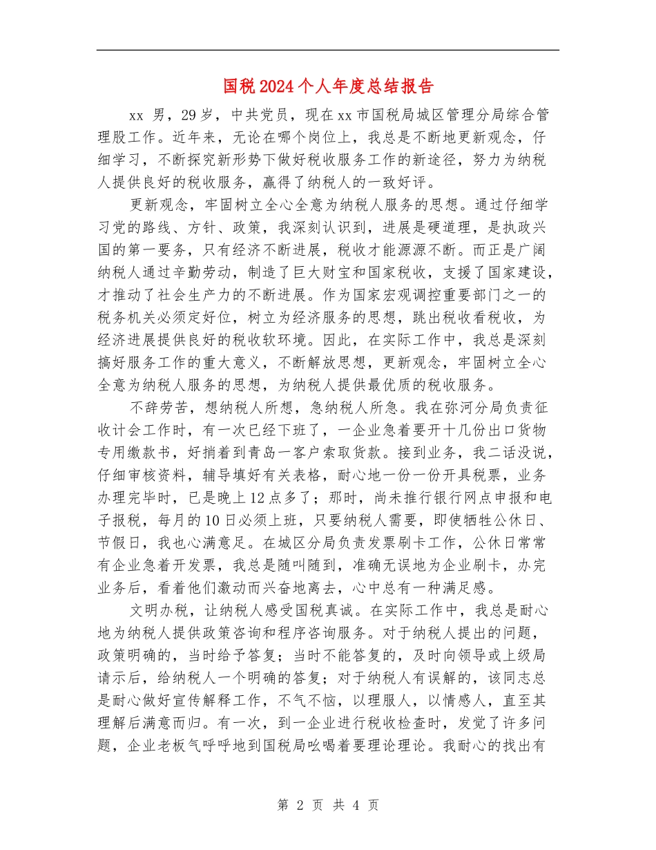 国税2024个人年度总结报告_第2页