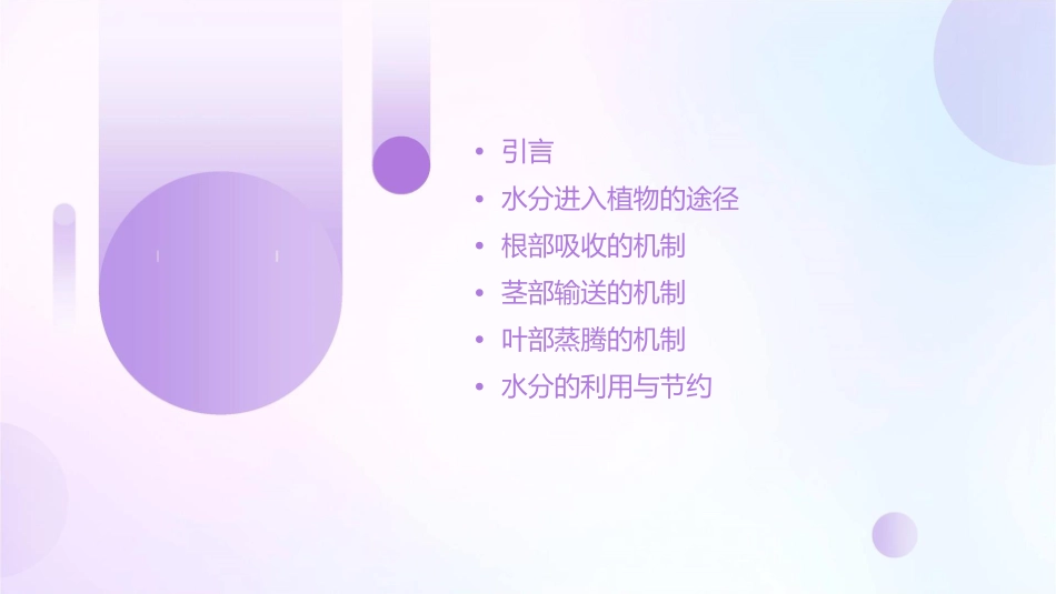 水分进入植物体内的途径课件_第2页