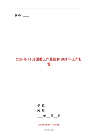 2024年11月团委工作总结和2024年工作打算