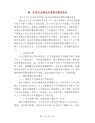 第一机动式巡察组反馈意见整改报告