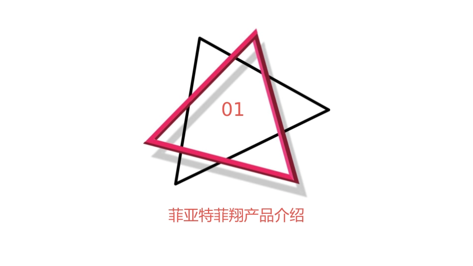 菲亚特菲翔上市方案Action课件_第3页