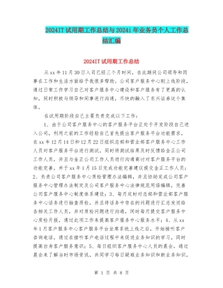 2024IT试用期工作总结与2024i年业务员个人工作总结汇编
