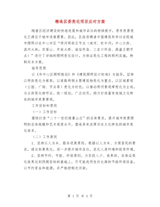 区委亮化项目应对方案