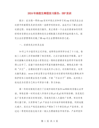 2024年大学生寒假实习报告：ERP实训