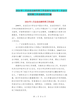 2024年1月企业出纳年终工作总结与2024年1月会计试用期工作总结范文汇编