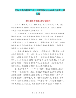 2024业务员年度工作计划范例与2024业务员年度计划汇编