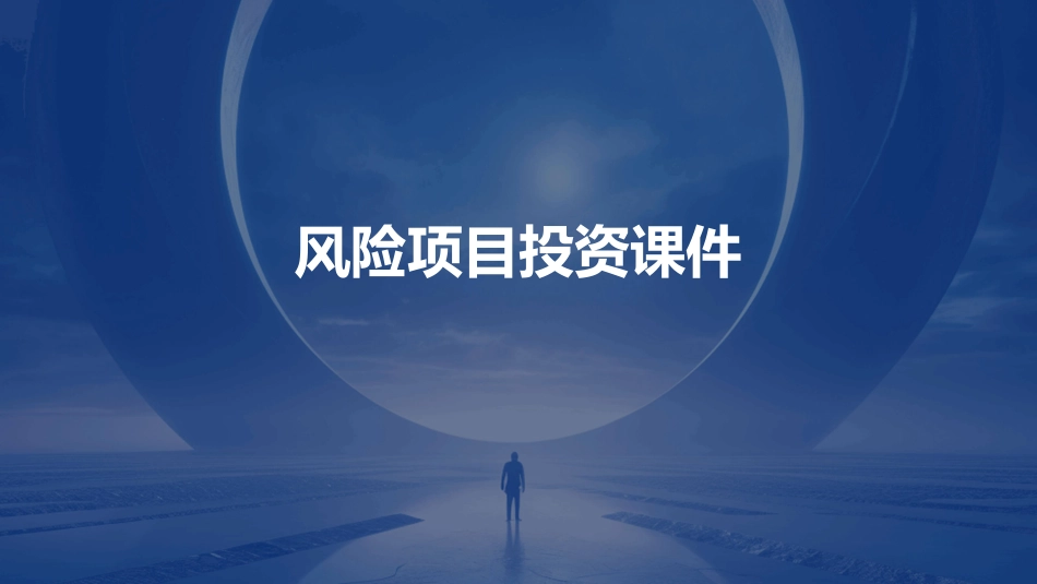 风险项目投资课件_第1页