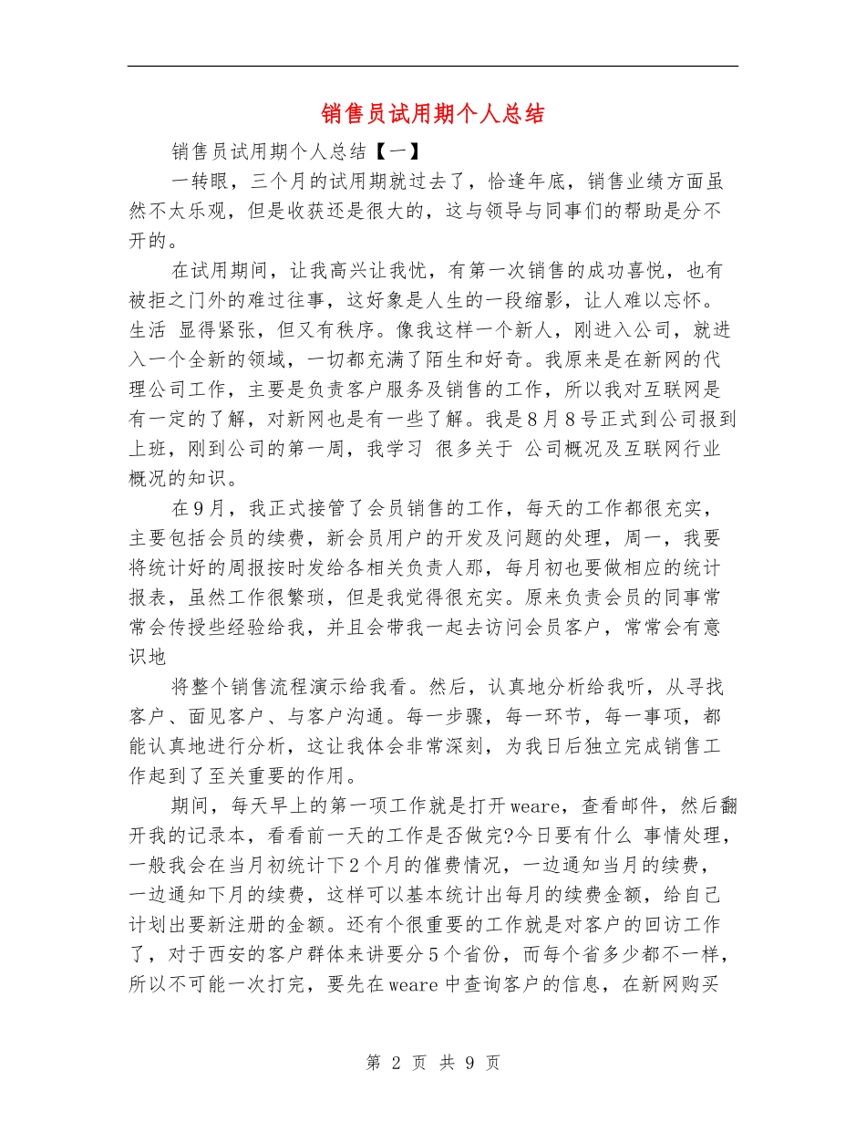 销售员试用期个人总结_第2页