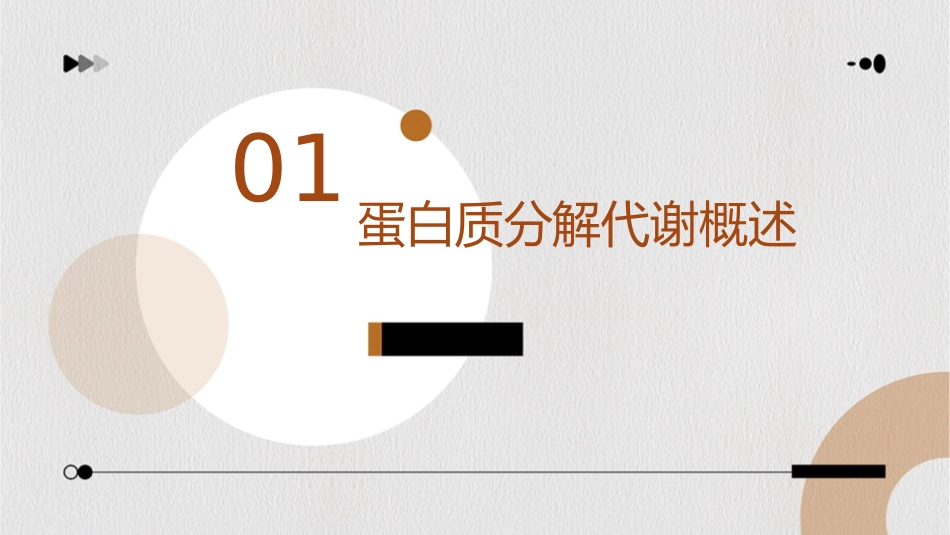 蛋白质的分解代谢通用课件_第3页