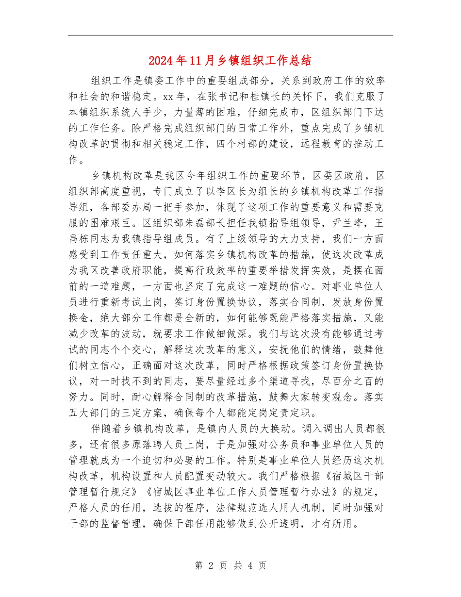 2024年11月乡镇组织工作总结_第2页