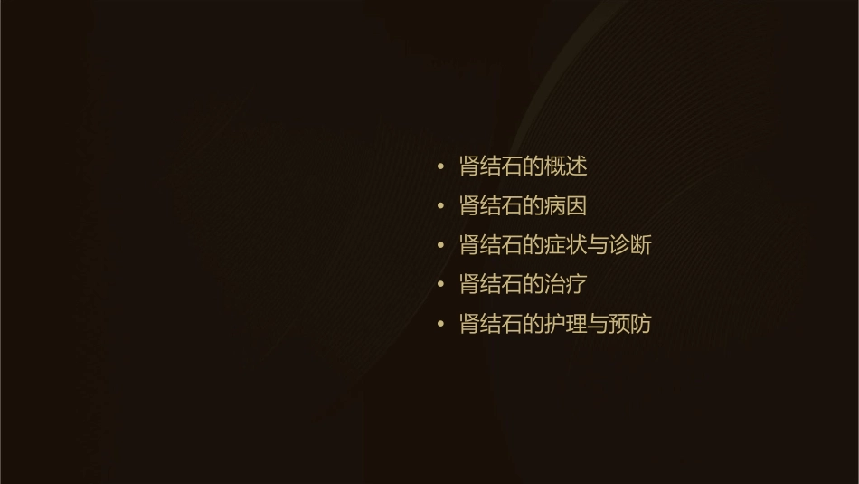 肾结石的病因及治疗护理课件_第2页