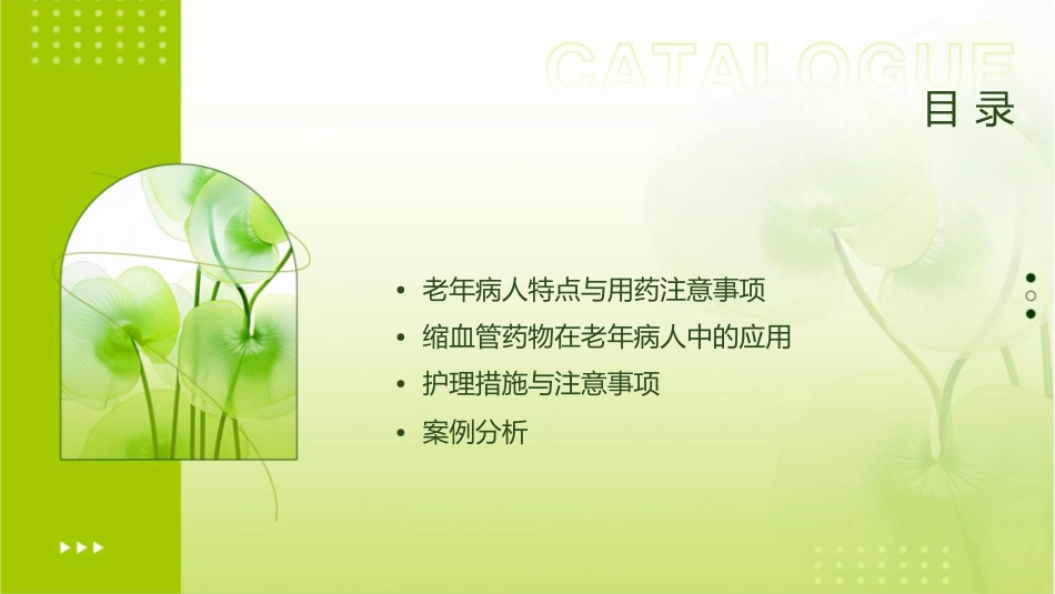 老年病人缩血管药物合理应用护理课件_第2页