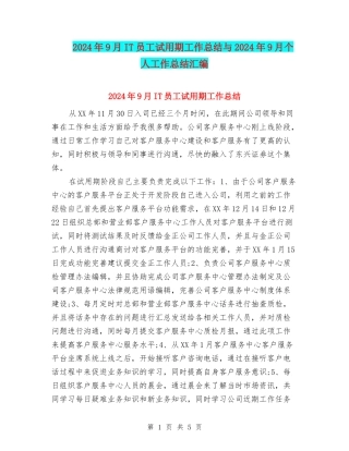 2024年9月IT员工试用期工作总结与2024年9月个人工作总结汇编
