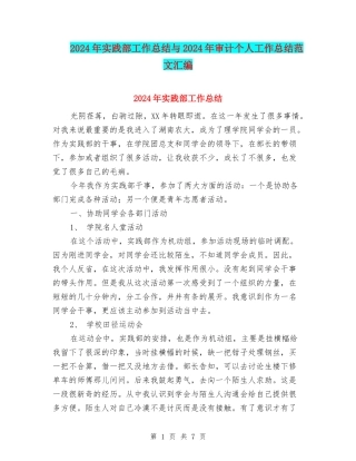 2024年实践部工作总结与2024年审计个人工作总结范文汇编