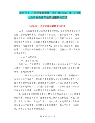 2024年11月区团委共青团工作汇报与2024年11月电力公司总会计师述职述廉报告汇编