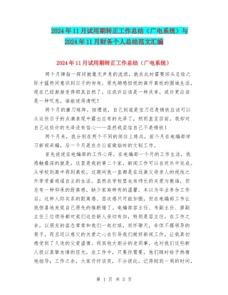 2024年11月试用期转正工作总结与2024年11月财务个人总结范文汇编