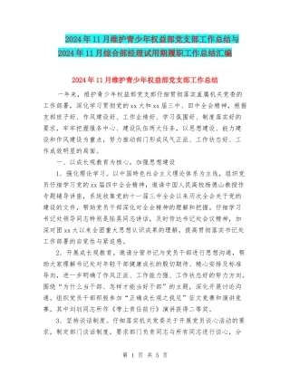 2024年11月维护青少年权益部党支部工作总结与2024年11月综合部经理试用期履职工作总结汇编