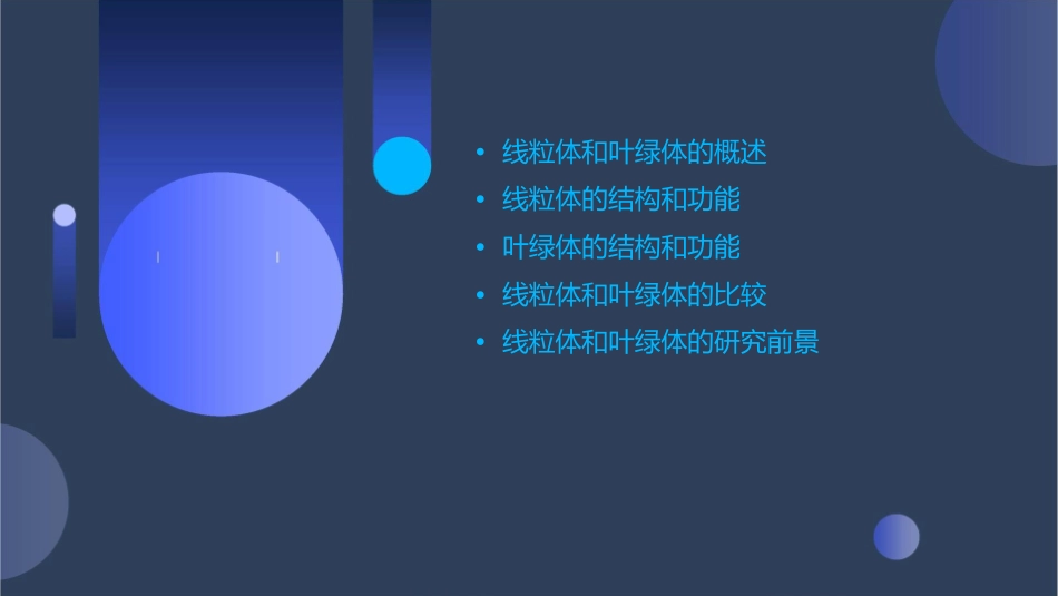 线粒体和叶绿体教学课件_第2页