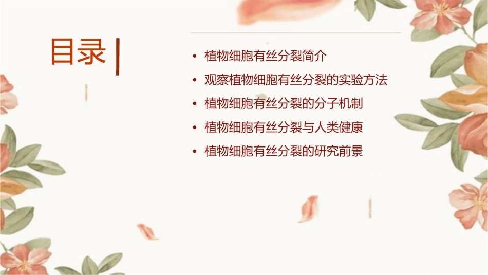 观察植物细胞有丝分裂资料课件_第2页