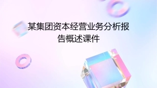 某集团资本经营业务分析报告概述课件