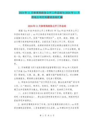 2024年11月体育局政务公开工作总结与2024年11月供电公司行风建设总结汇编