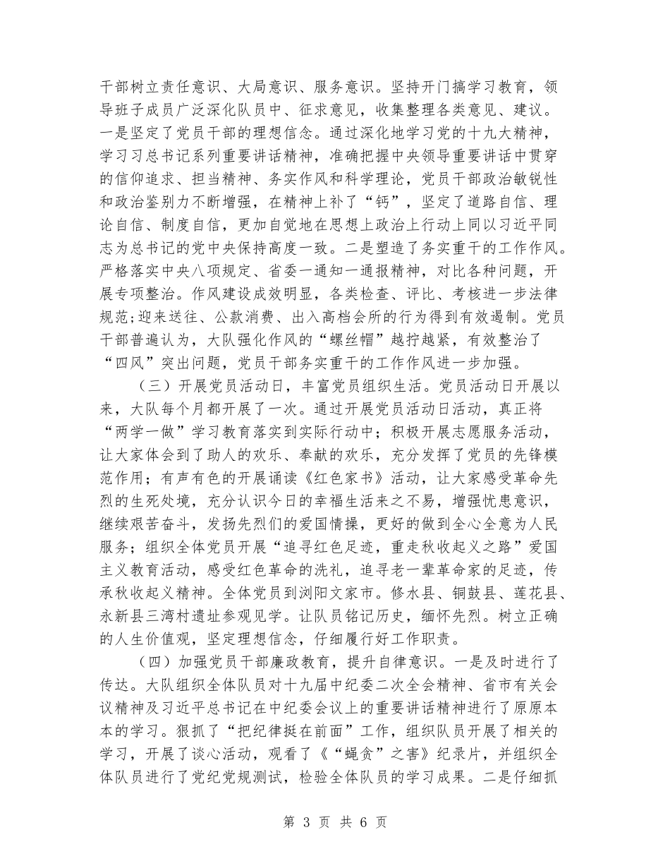 治安巡防大队2024党建工作总结_第3页