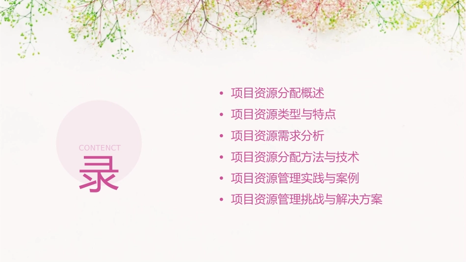 项目资源分配与管理课件_第2页