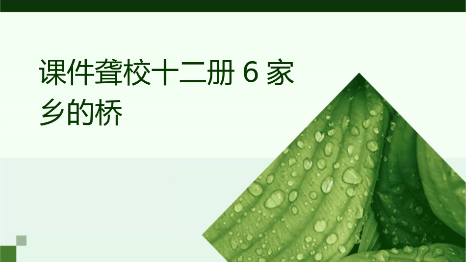 聋校十二册6家乡的桥课件_第1页