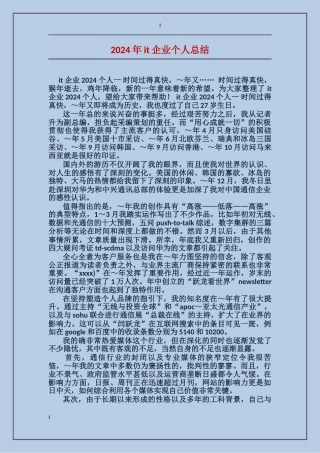 2024年it企业个人总结